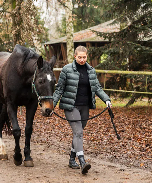 Cheval - strona internetowa